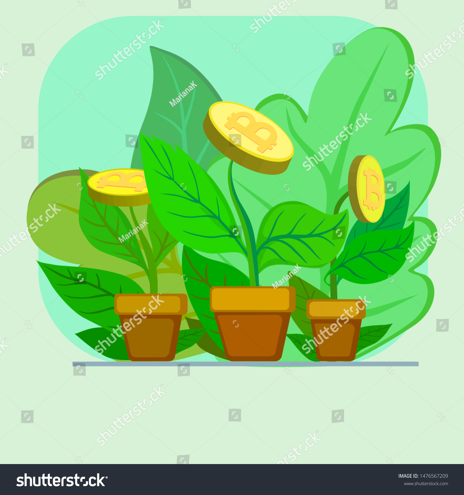 C