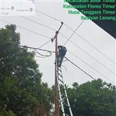 L
