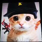 Q