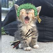L