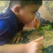 Y