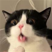 đ