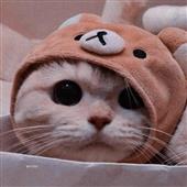 Đ