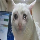 Đ