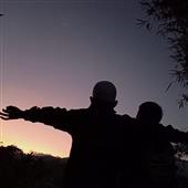 V